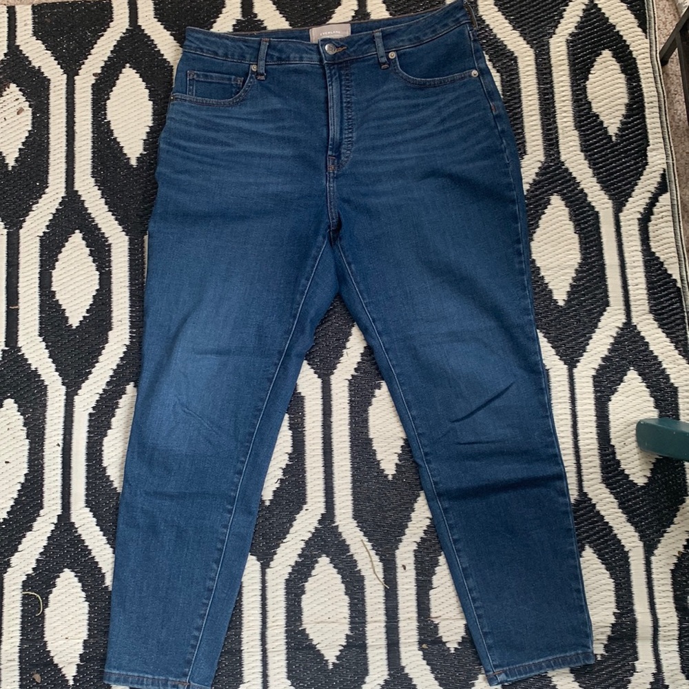 Everlane Curvy High Rise Skinny Crop Jean size 31